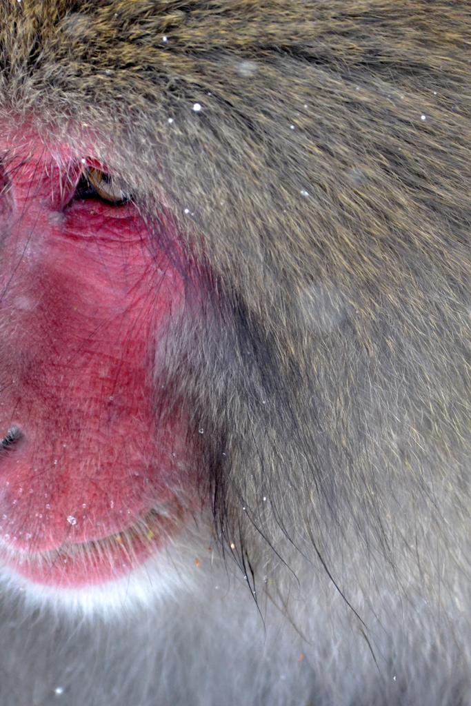 Ea odio illum incidunt magni qui aliquid