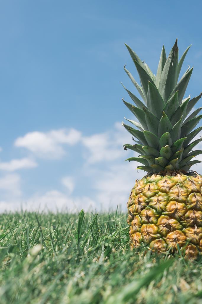 Corporis quia dolorem est quibusdam