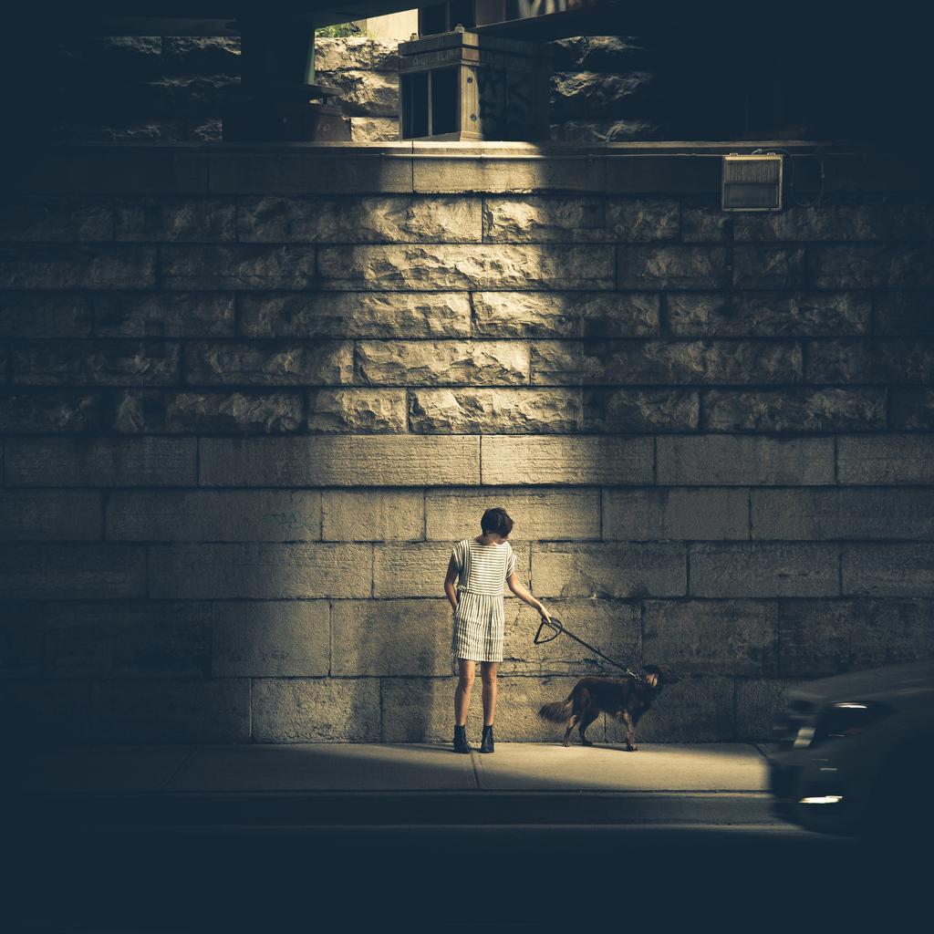 Accusantium provident voluptatem in eum animi est