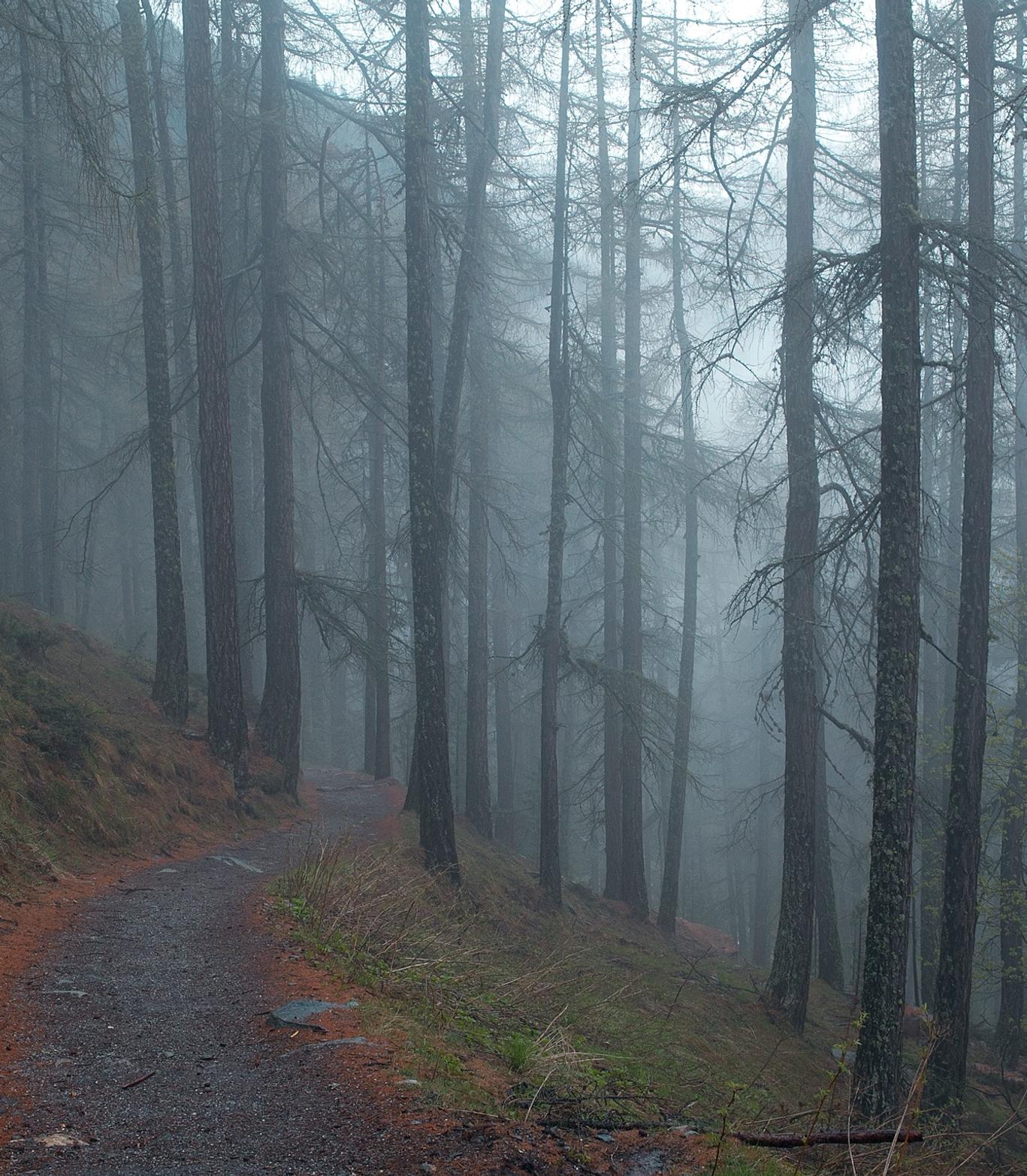 Beatae quis id iusto