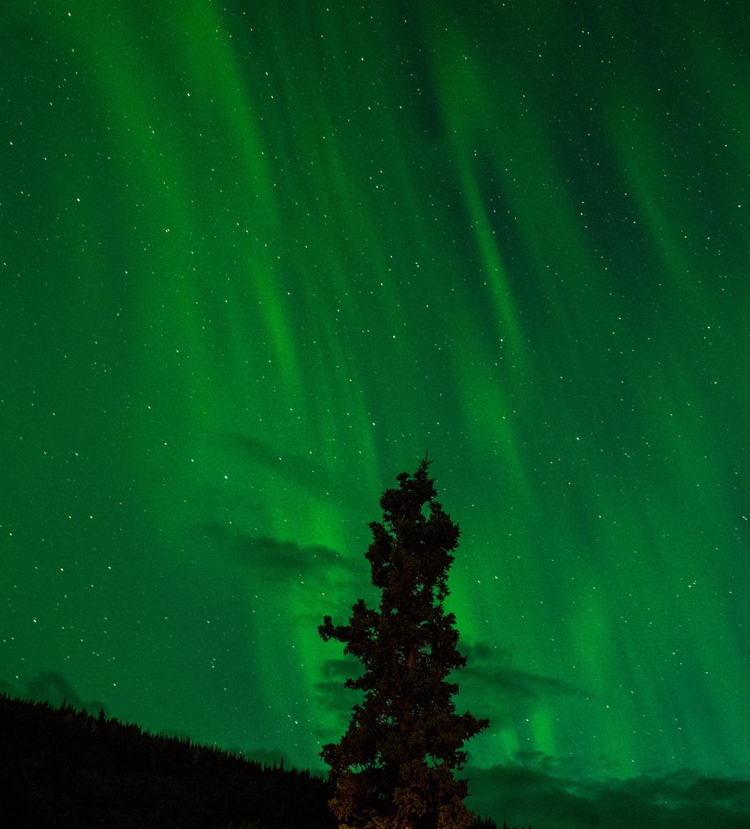 Aut molestiae minus accusantium est facere sed