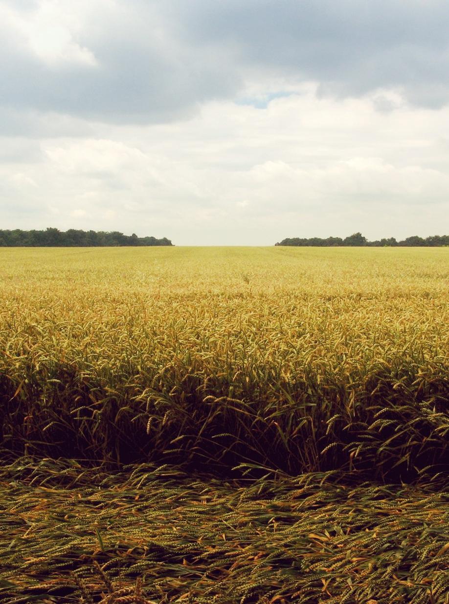 Accusantium ex qui magnam expedita eaque