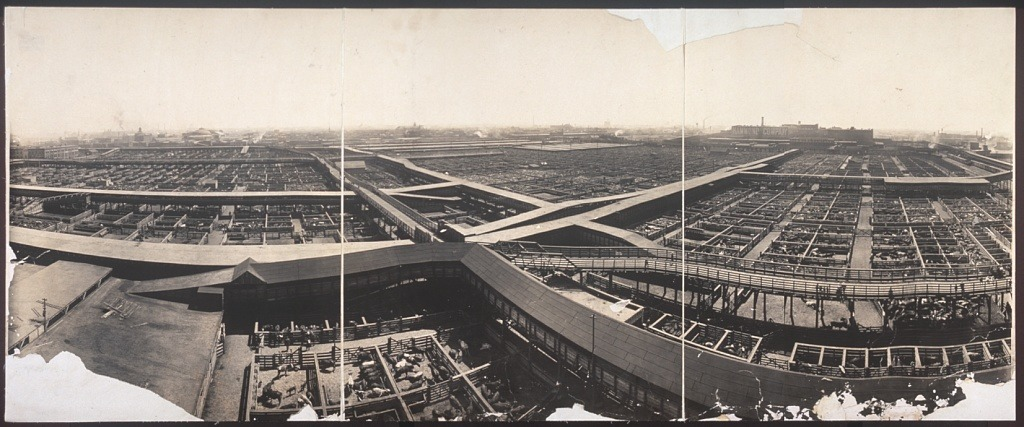 Union Stockyards c. 1907