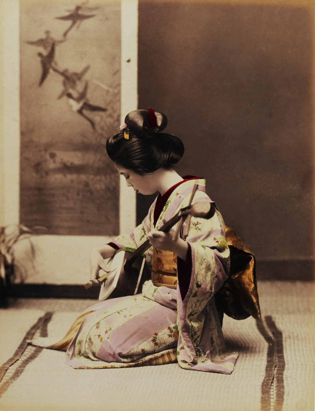  A geisha plays the shamisen c.1880s